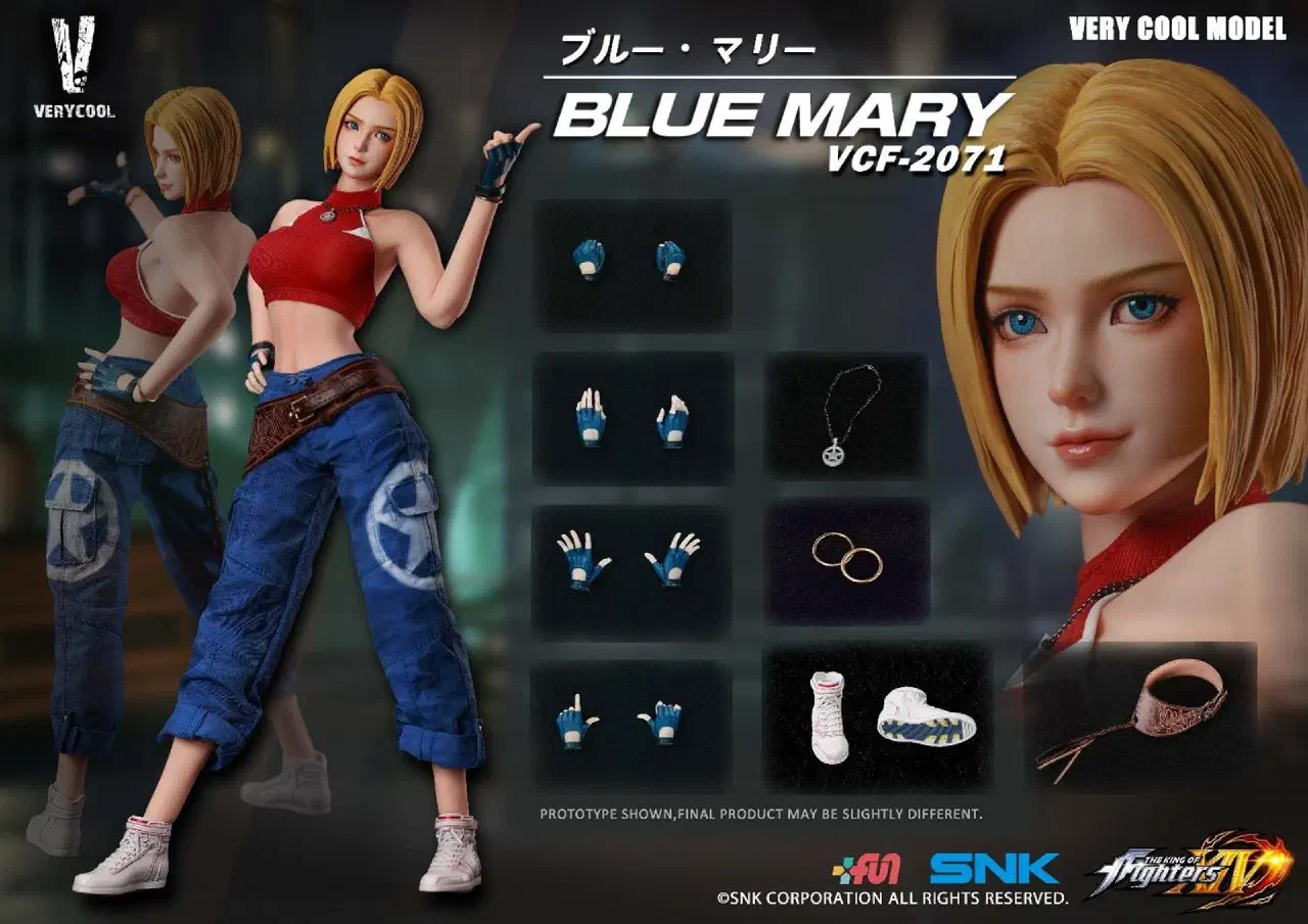 VERYCOOL VCF-2071 Blue Mary outfit details